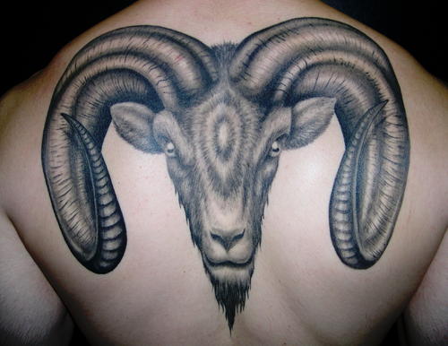 Ram Tattoos