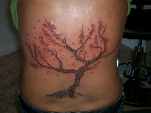 cherry tree tattoos designs. Cherry Tree Tattoo