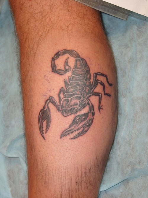 scorpions tattoo. Scorpion Tattoo Design