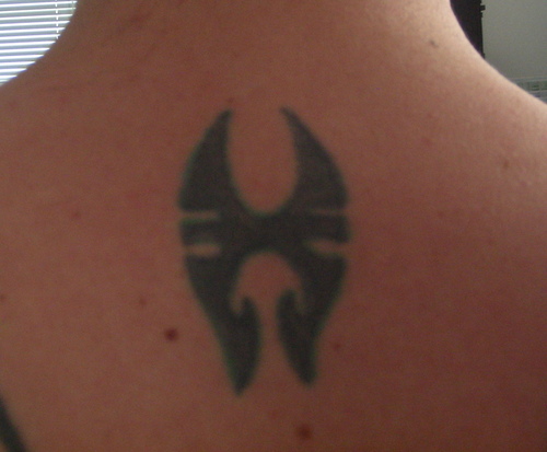 Soul Fly Brazilian Tribal Tattoo Posted on May 14 2010 1 Comment