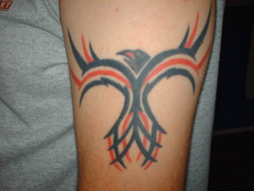 Tribal Eagle Posted on June 7 2010 1 Comment 