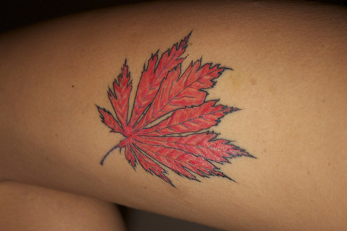 Nice Maple Leaf Tattoo Posted on February 18 2011 Leave a comment