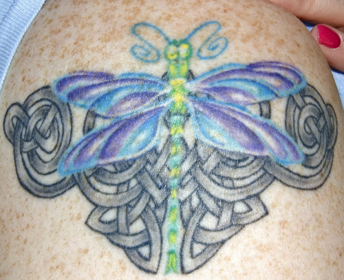 Celtic and Tribal Temporary Tattoos  Tattoos by Custom Tags  Dragonfly  tattoo Dragonfly tattoo design Celtic